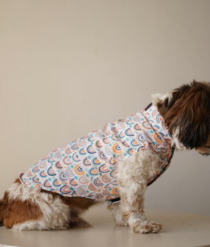 Pawgy Pets Rainbow Sando off white  for Dogs