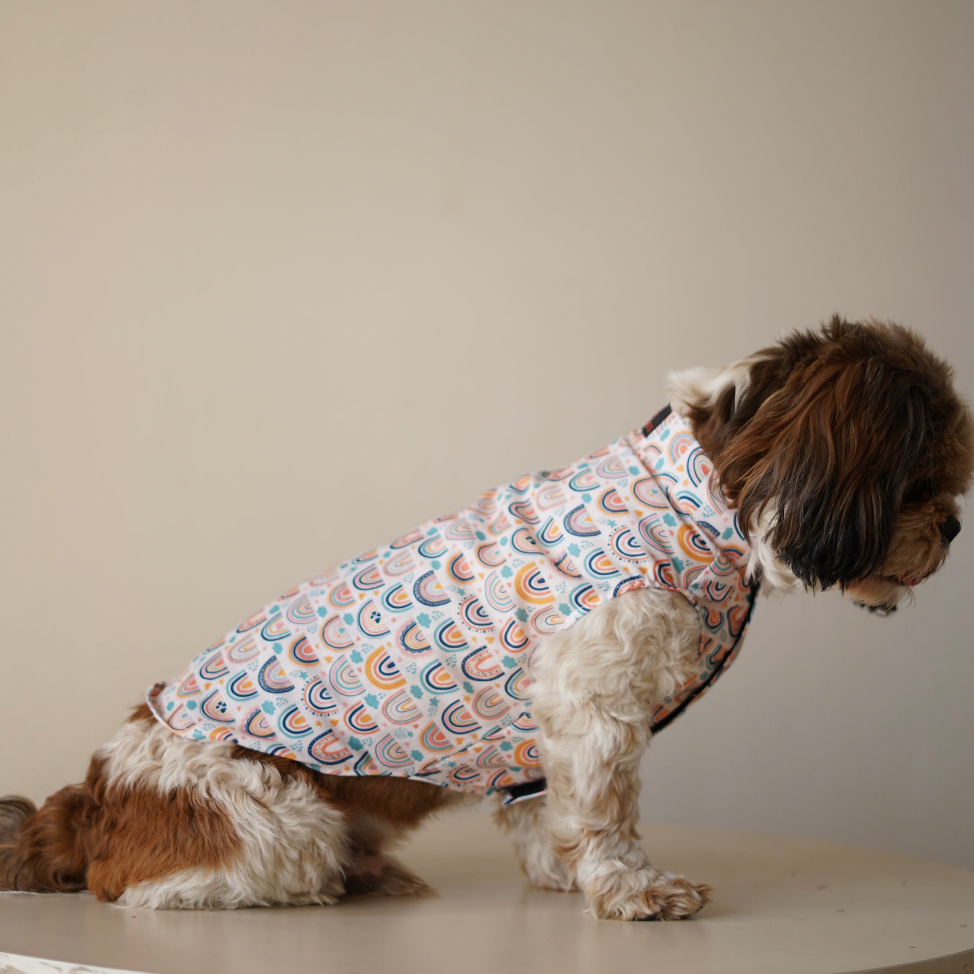 Pawgy Pets Rainbow Sando off white  for Dogs