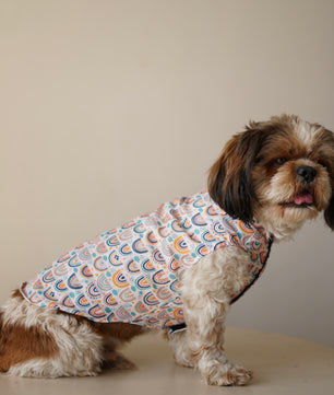 Pawgy Pets Rainbow Sando off white  for Dogs