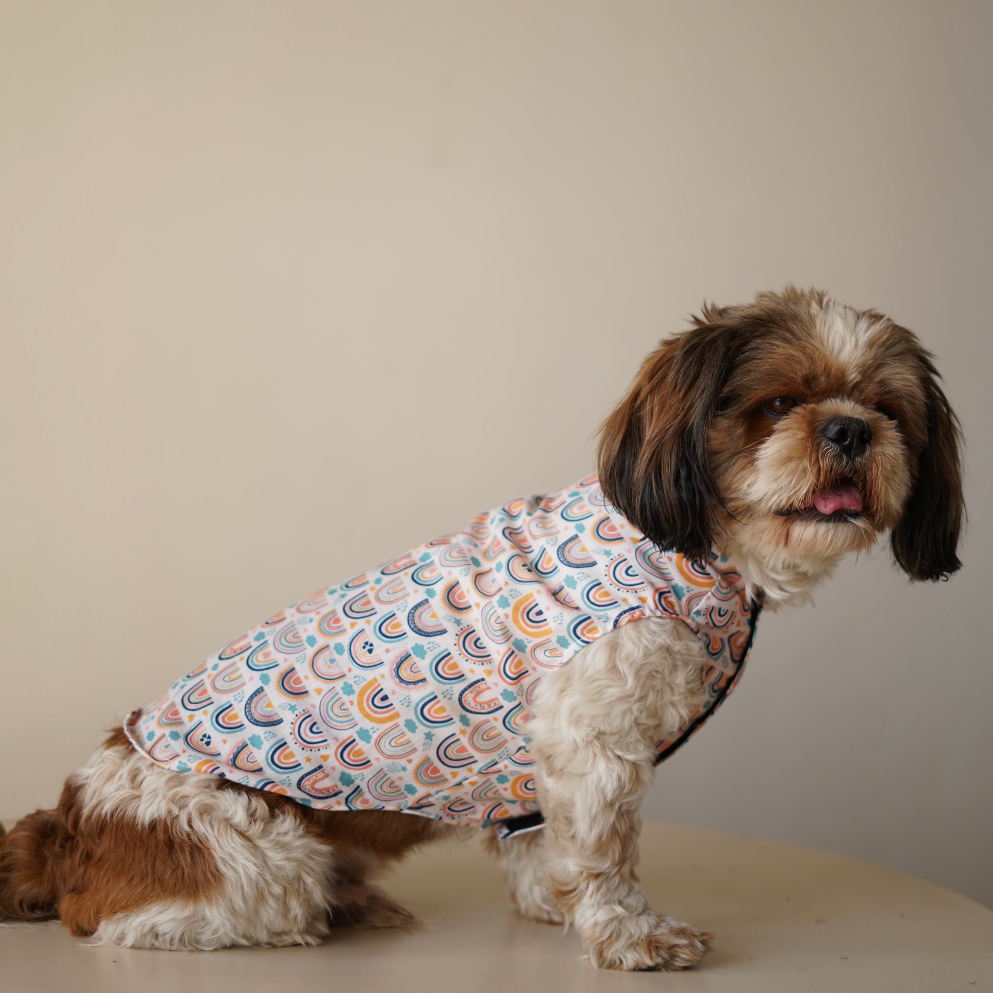 Pawgy Pets Rainbow Sando off white  for Dogs
