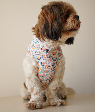 Pawgy Pets Rainbow Sando off white  for Dogs