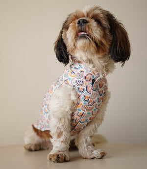 Rainbow Sando | Off White | For Dogs | Pawgy Pets