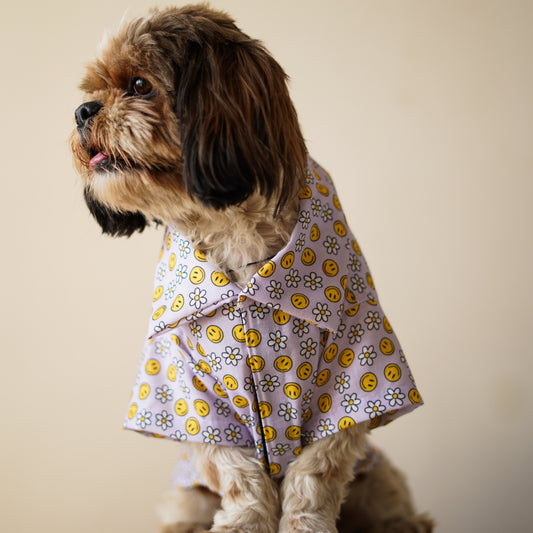 Pawgy Pets Smiley o clock shirt lavender  for Dogs