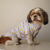 Smiley O'Clock Shirt | Lavender | For Dogs | Pawgy Pets