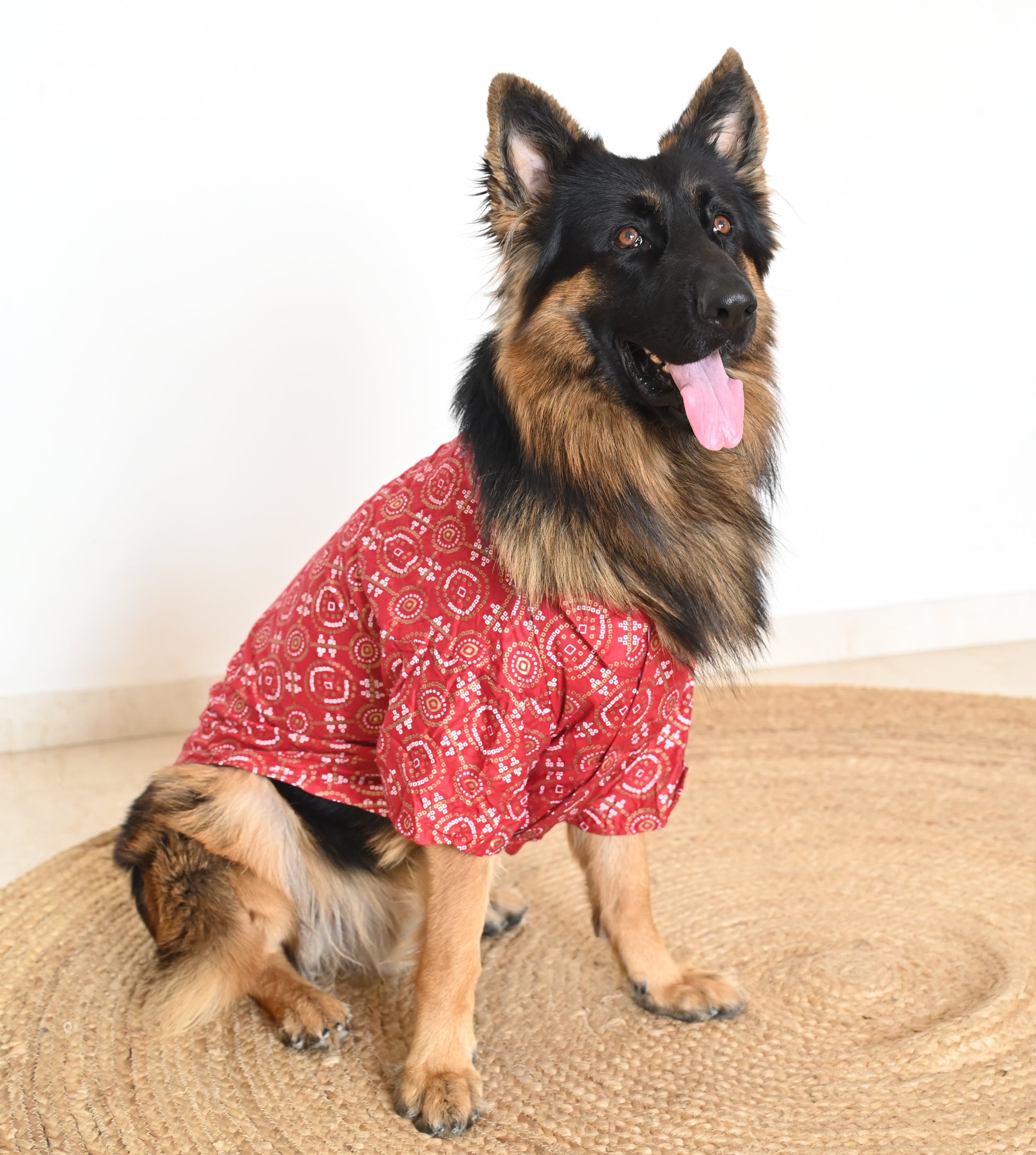 Pawgy Pets Bandhej Shirt: Red for Dogs