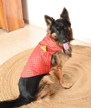 Pawgy Pets Strapy Sherwani Red for Dogs