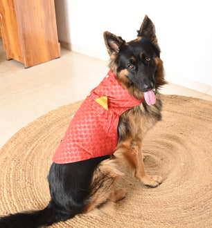 Pawgy Pets Strapy Sherwani Red for Dogs