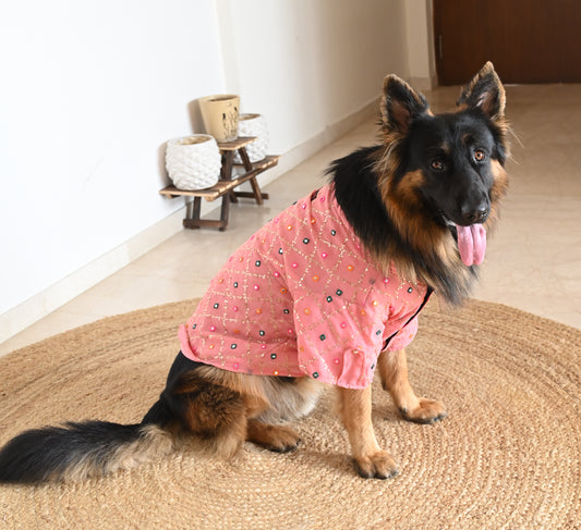 Pawgy Pets Festive Shirt Pink ol for Dogs