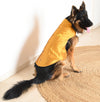 Mustard Strappy Sherwani | For Dogs | Pawgy Pets