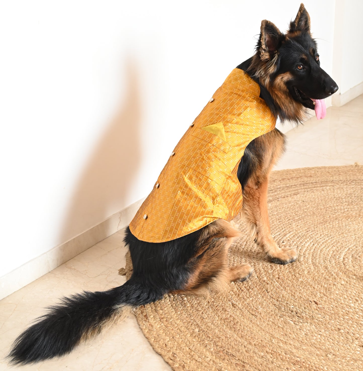 Mustard Strappy Sherwani | For Dogs | Pawgy Pets