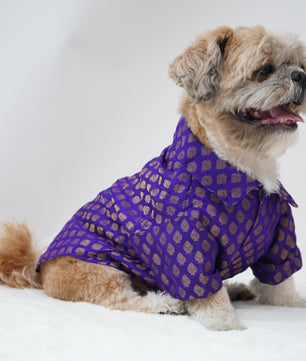 Pawgy Pets Occasion wear Shirt Purple for Dogs