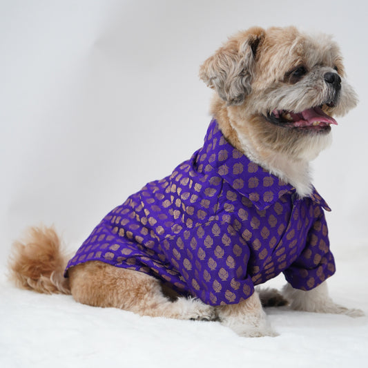 Pawgy Pets Occasion wear Shirt Purple for Dogs