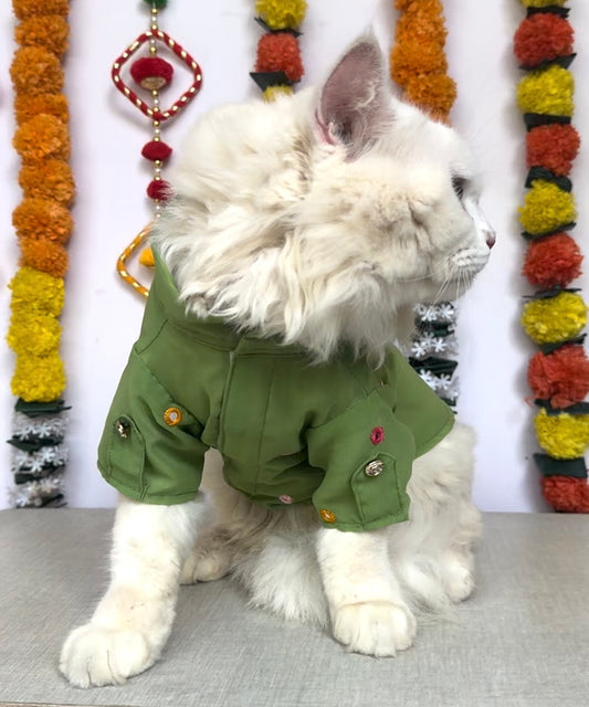 Pawgy Pet Festive kurta Pista Green (Cat)