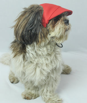 Pawgy Pets Dog Cap: Red for Dog & Cats