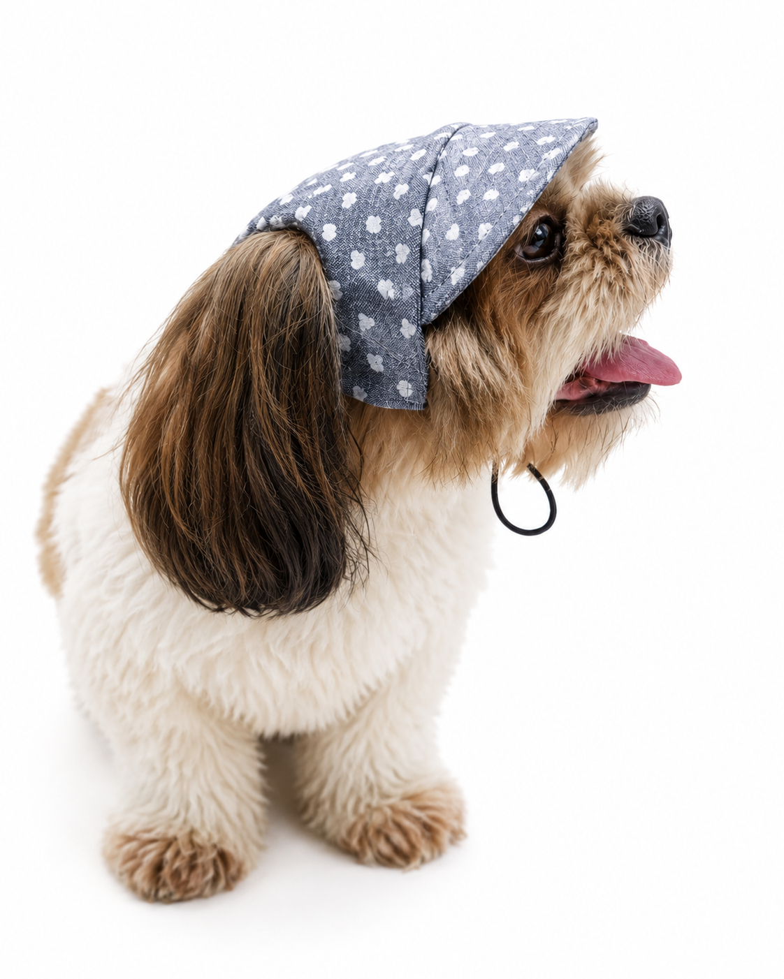Denim Heart Cap | For Dogs | Pawgy Pets