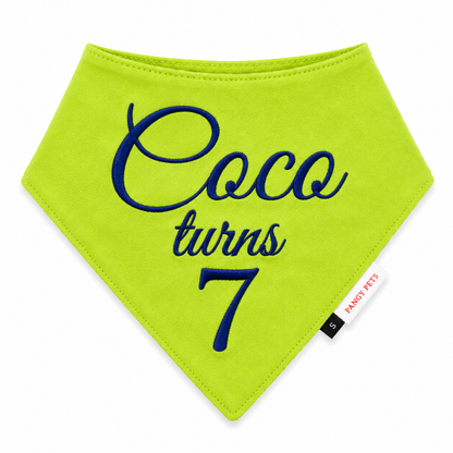 Pawgy Pets Customised Bandana for Birthday for Dogs & Cats