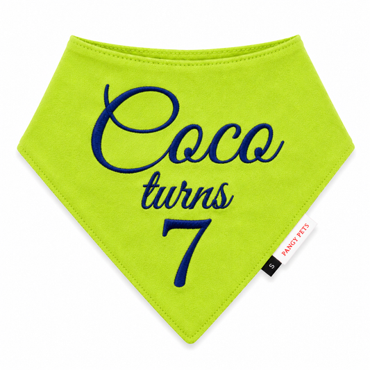 Pawgy Pets Customised Bandana for Birthday for Dogs & Cats