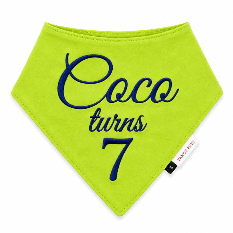 Pawgy Pets Customised Bandana for Birthday for Dogs & Cats