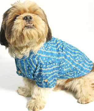 Pawgy Pets Blue Bandani kurta for Dogs