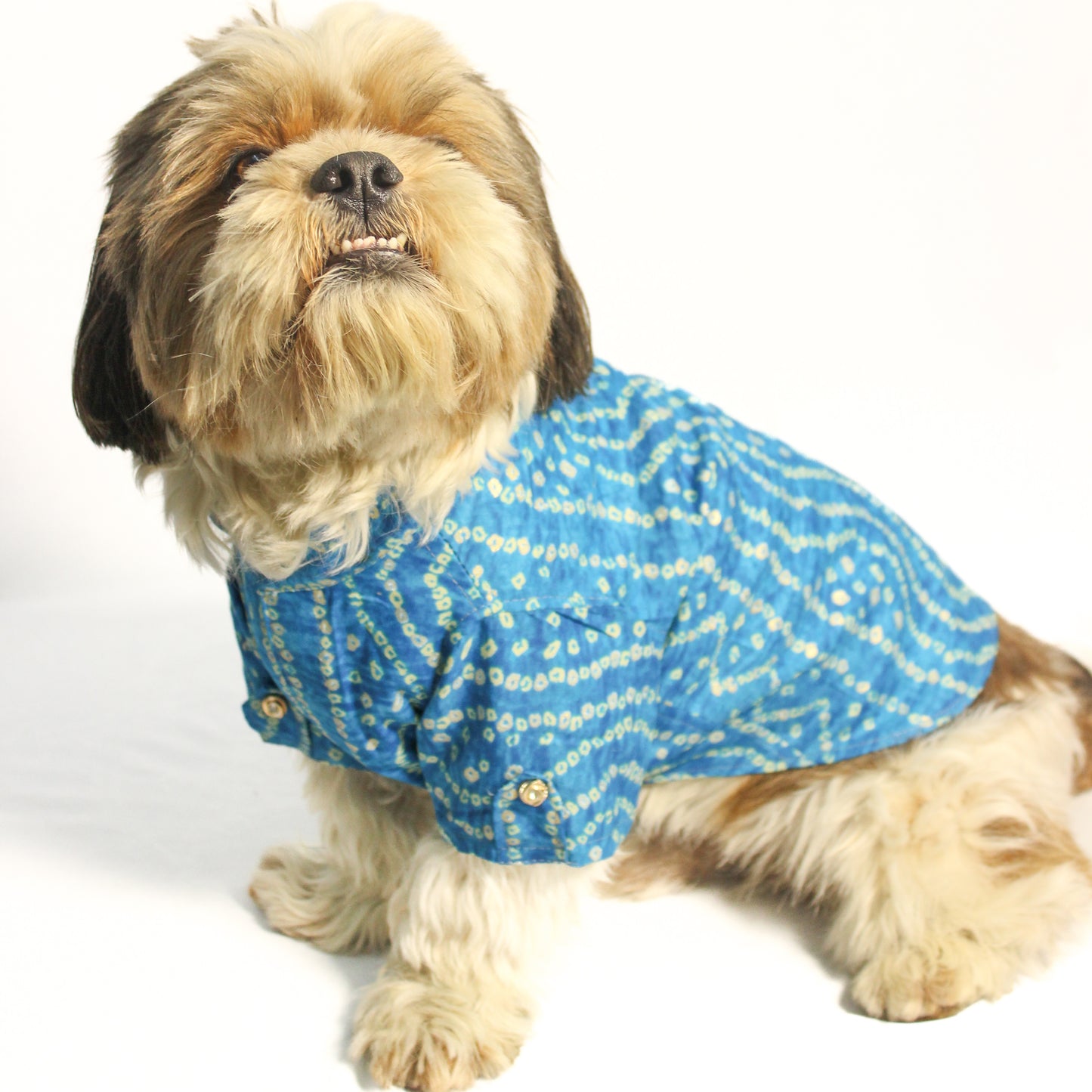Blue Bandani Kurta | For Dogs | Pawgy Pets