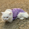 Purple Lehriya Kurta | For Cats | Pawgy Pets