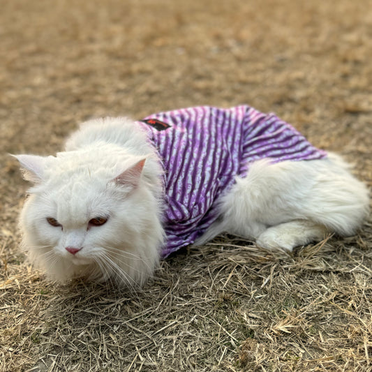 Pawgy Pets Lehriya kurta purple for Cats