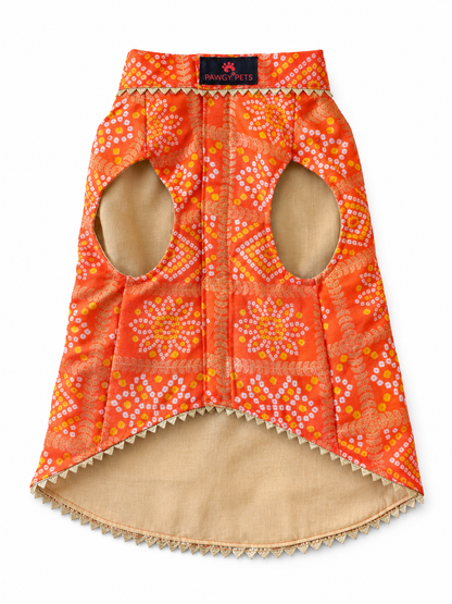 Orange Bandhani Kurta | For Dogs | Pawgy Pets