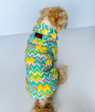 Pawgy Pets Zig-Zag kurta Green for Dogs