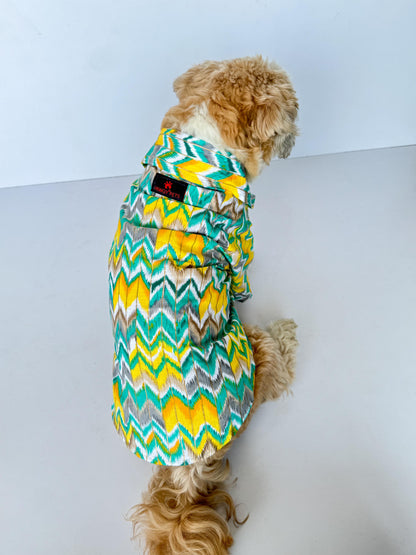 Green Zig-Zag Kurta | For Dogs | Pawgy Pets