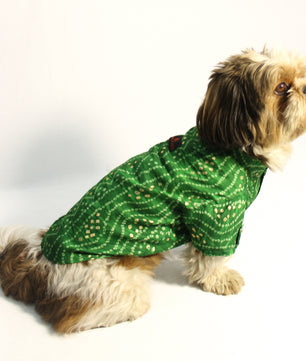 Pawgy Pets Green Bandani kurta for Dogs