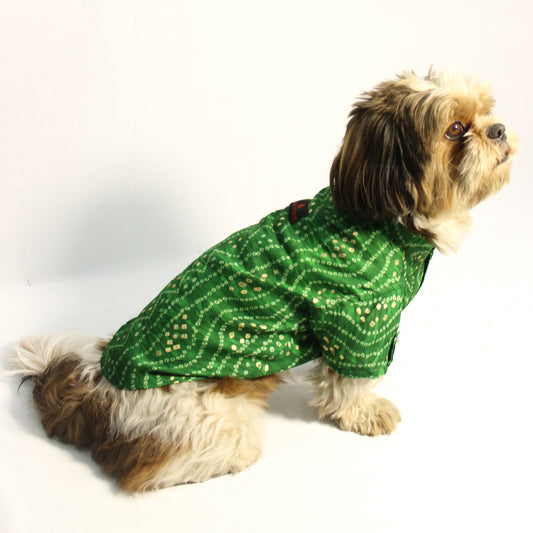 Pawgy Pets Green Bandani kurta for Dogs