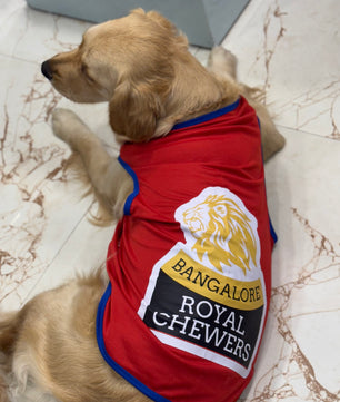 Pawgy Pets Bangalore Royal Chewers T-shirt for Dogs and Cats