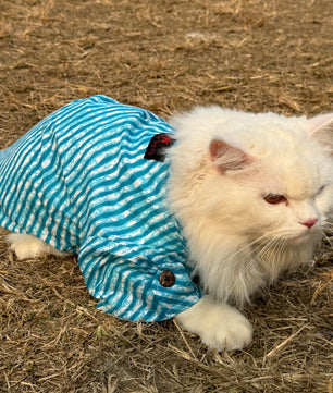 Pawgy Pets Lehriya kurta blue for Cats
