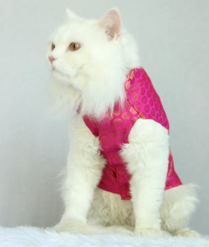 Pawgy Pets Sherwani Pink for Cats