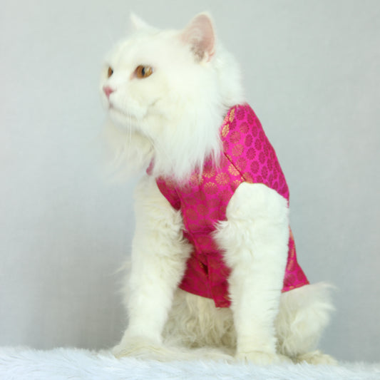 Pawgy Pets Sherwani Pink for Cats