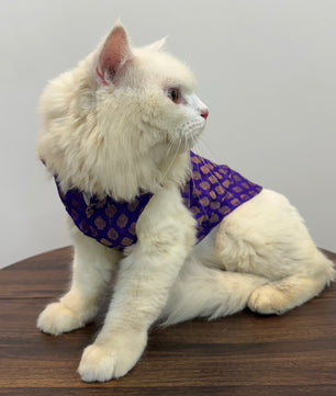 Pawgy Pets Sherwani Purple for Cats
