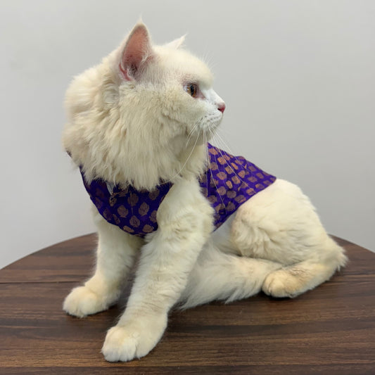 Pawgy Pets Sherwani Purple for Cats