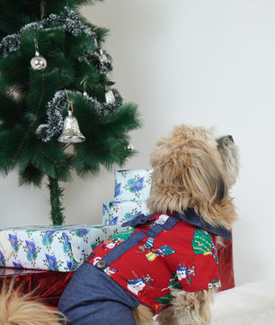 Pawgy Pets Four-Legged Dungaree