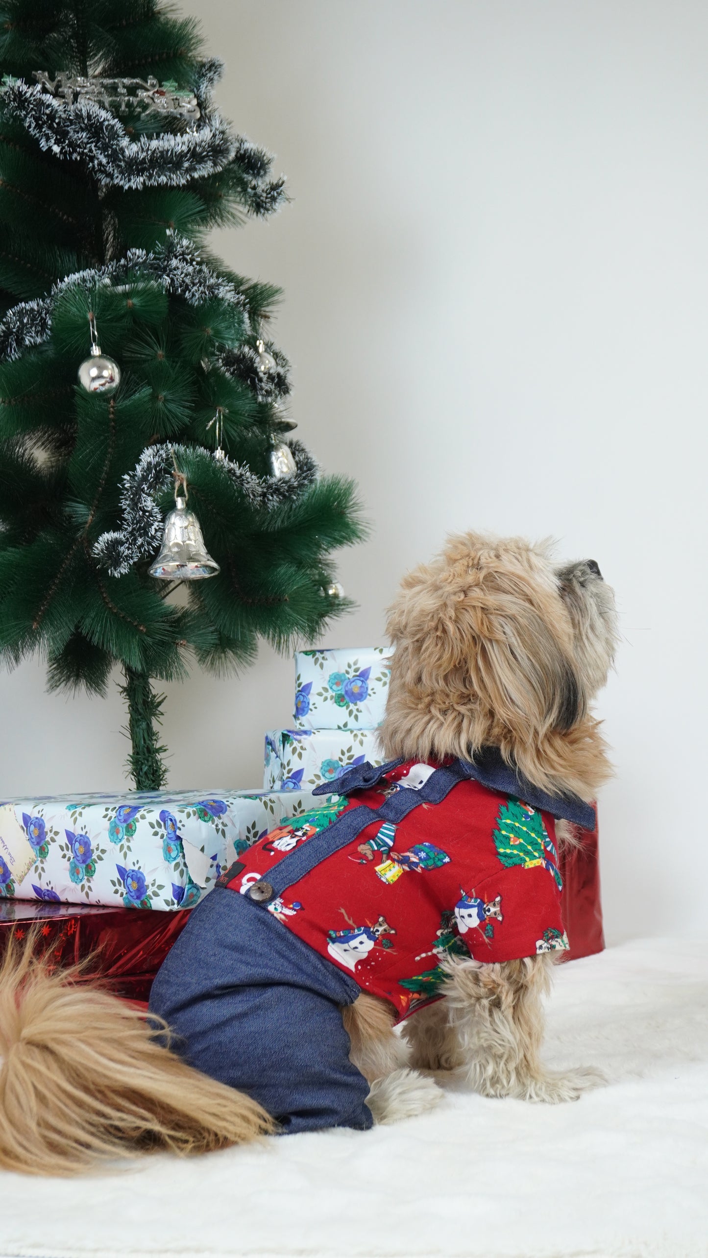 Four-Legged Dungaree | For Dogs | Pawgy Pets
