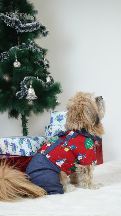 Four-Legged Dungaree | For Dogs | Pawgy Pets