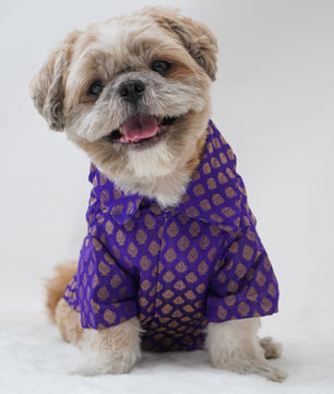 Pawgy Pets Occasion wear Shirt Purple for Dogs