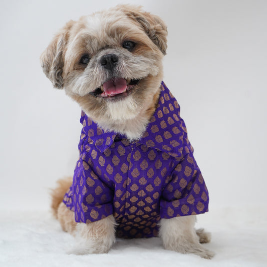 Pawgy Pets Occasion wear Shirt Purple for Dogs