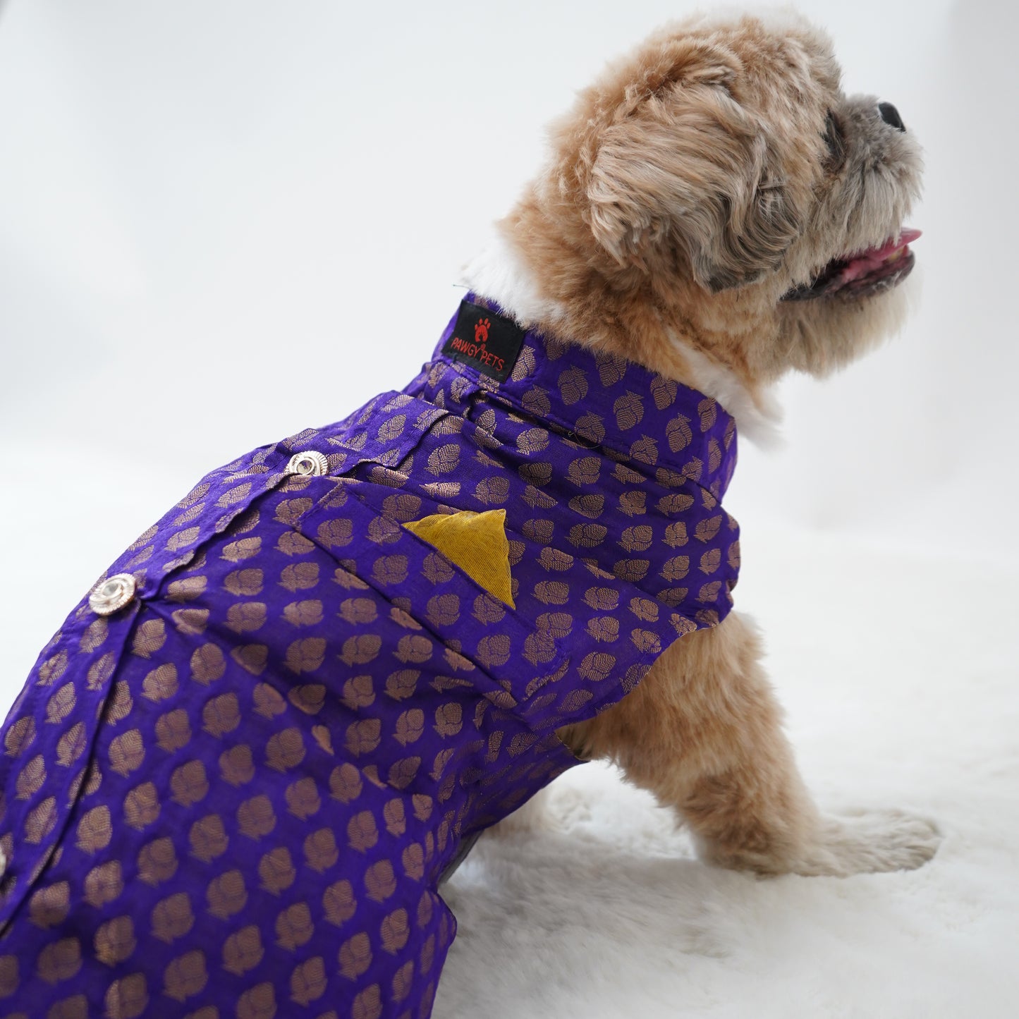 Pawgy Pets Sherwani Purple for Dogs