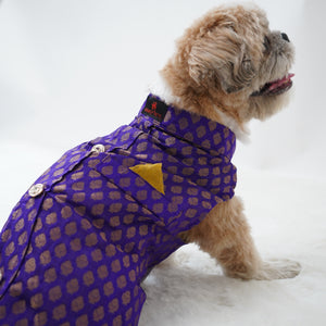 Purple Sherwani | For Dogs | Pawgy Pets