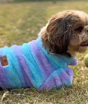 Pawgy Pets Fur sweater: Blue & Purple for Dogs & Cats