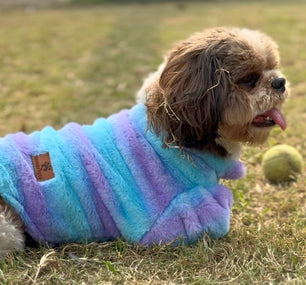 Pawgy Pets Fur sweater: Blue & Purple for Dogs & Cats