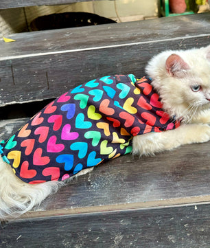 Pawgy Pets Multi Heart Sando (Cat)