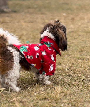 Pawgy Pets Reversible Shirt: Grey with Red tree for Dogs & Cats