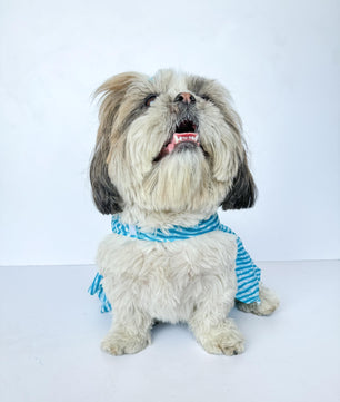 Pawgy Pets Lehriya Dress Blue for Dogs