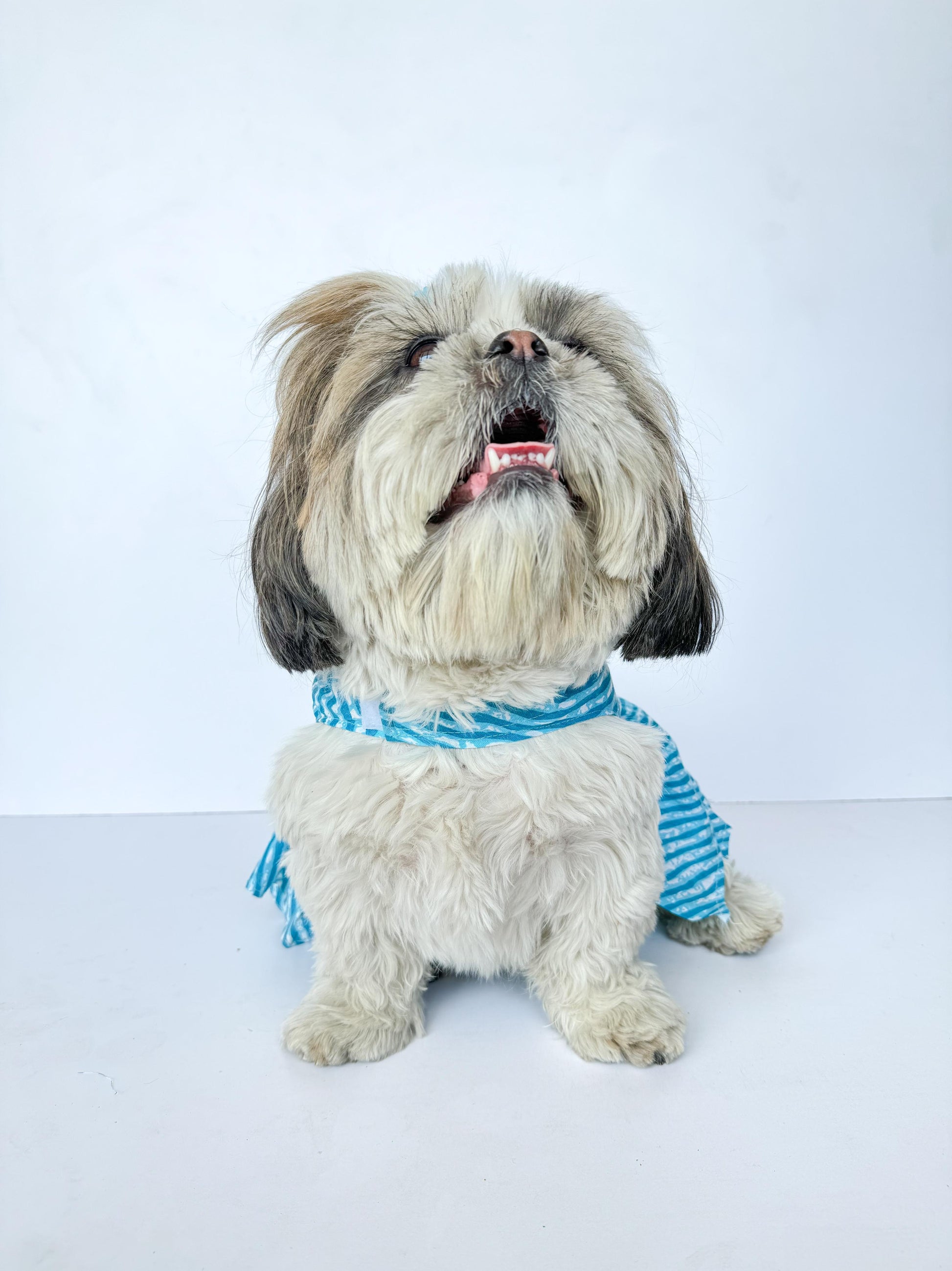 Pawgy Pets Lehriya Dress Blue for Dogs